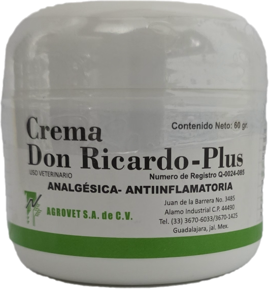 Texto alternativo de imagen