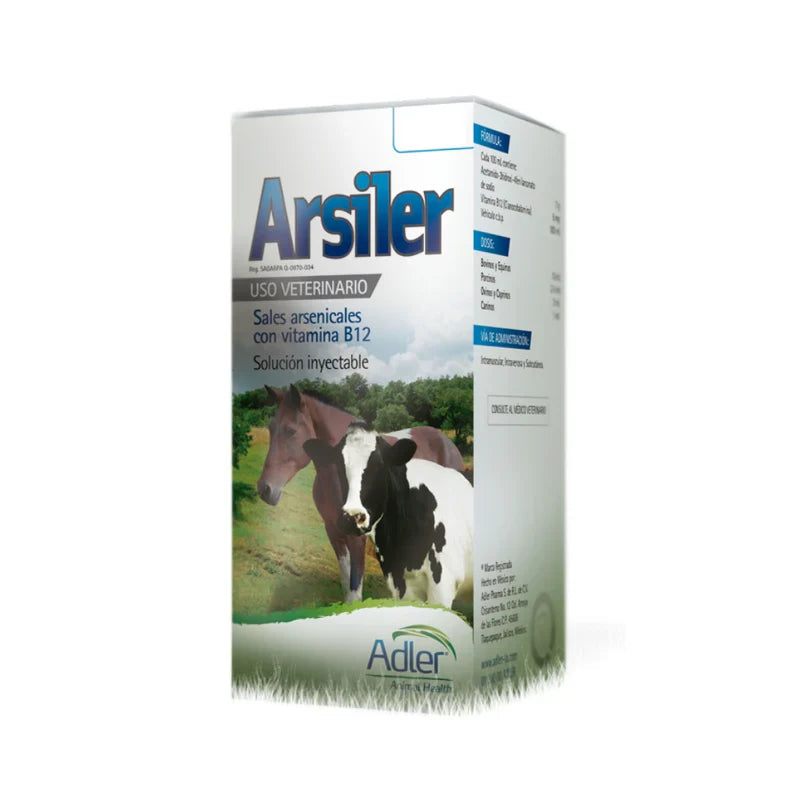 Arsiler