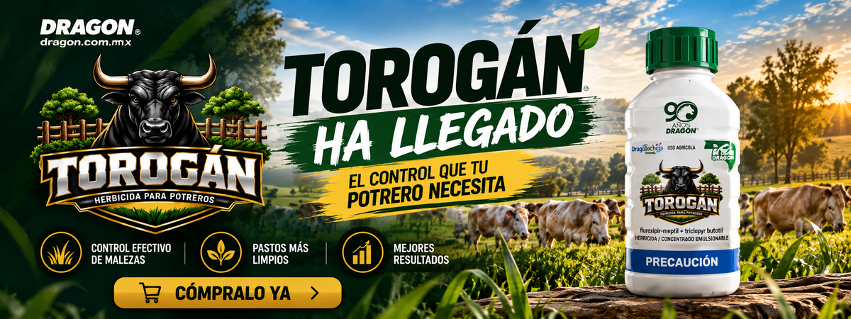 Texto alternativo de imagen
