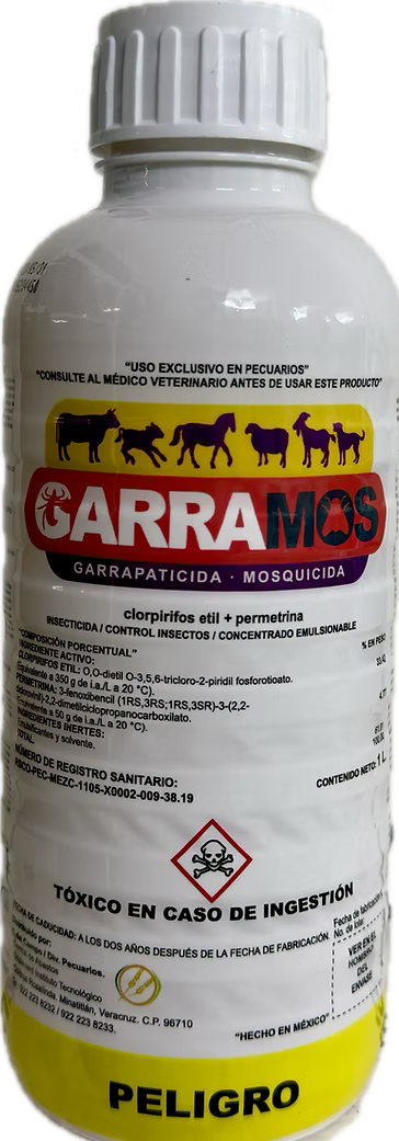 Texto alternativo de imagen