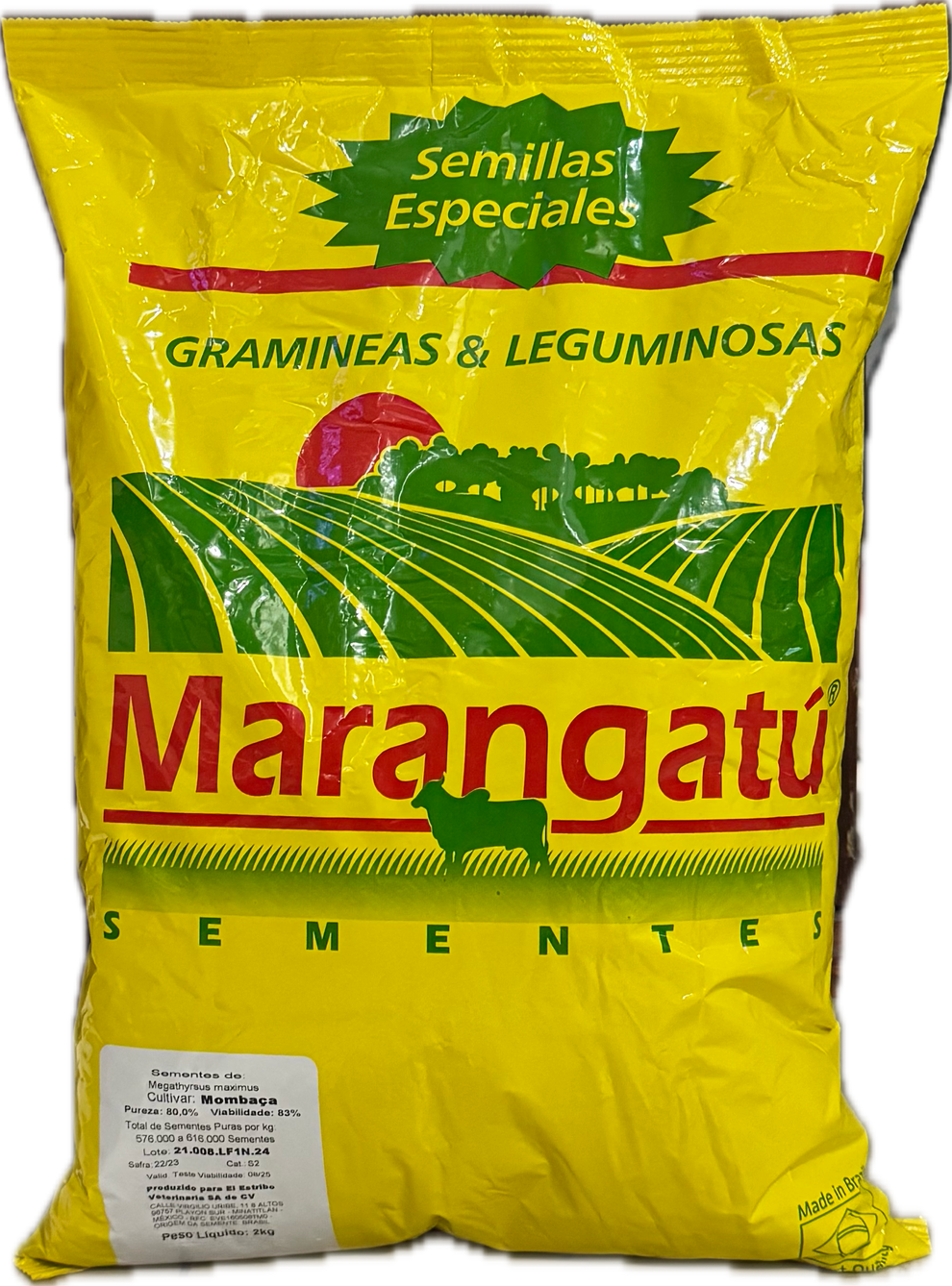 Semilla de pasto miyagui